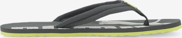 PUMA T-Bar Sandals 'Epic Flip' in Grey