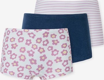 SCHIESSER Panty in Blau: Vorderseite