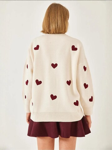 Bianco LucciPulover 'Pullover' - miks boja boja