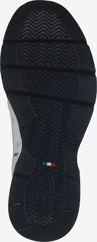 Nero Giardini Sneakers laag in Gemengde kleuren