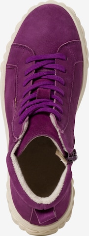 Bottines à lacets TAMARIS en violet