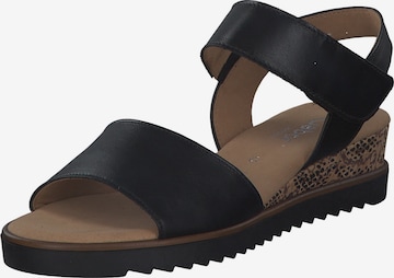 GABOR Strap Sandals 'Genua' in Black: front