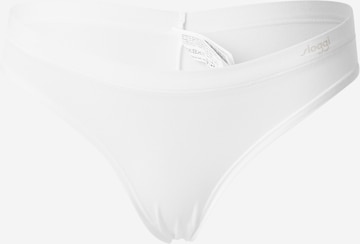 SLOGGI - Braga en blanco: frente