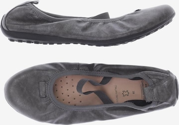 GEOX Flats & Loafers in 39 in Grey: front