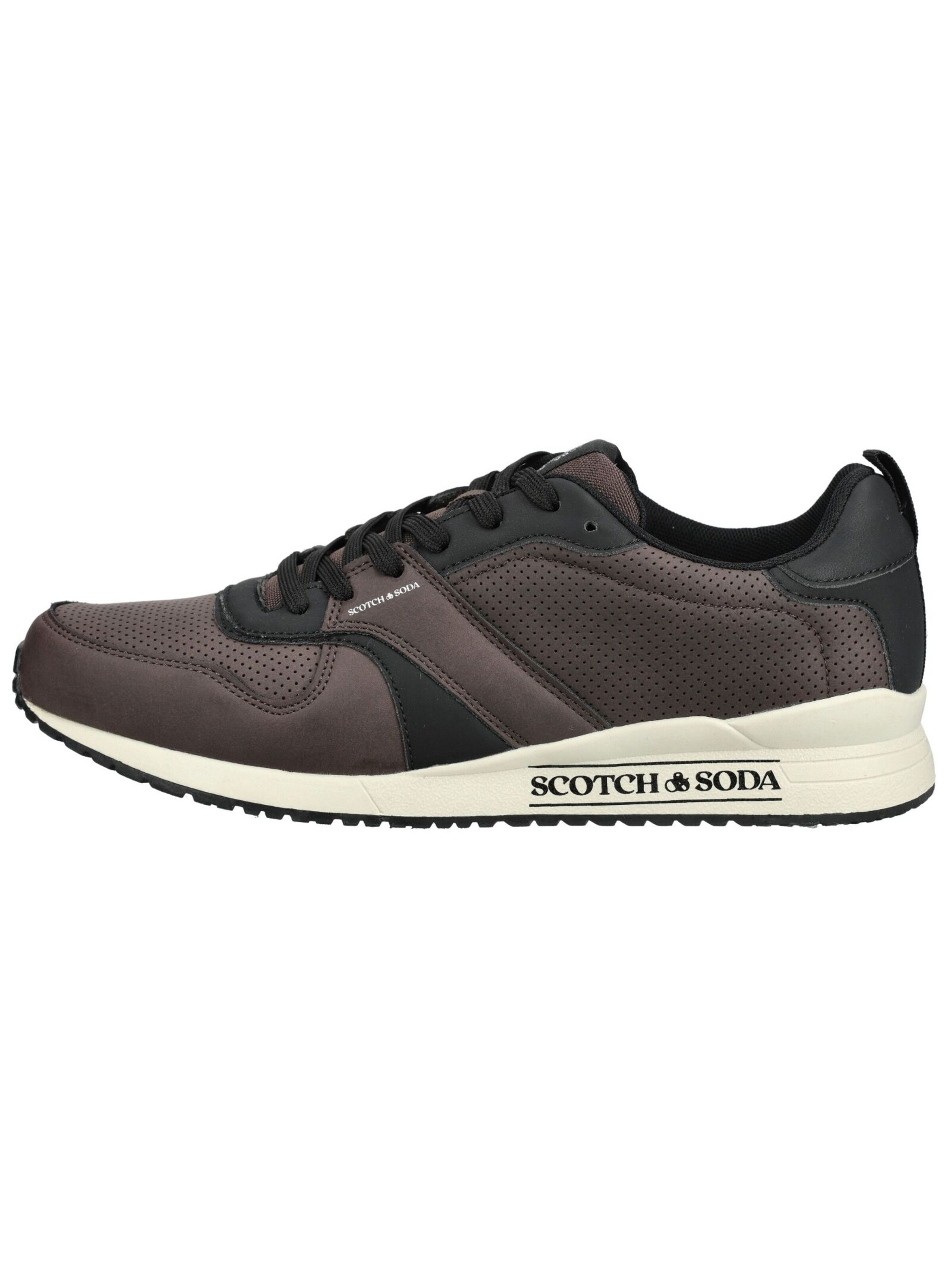 Baskets basses SCOTCH & SODA en marron
