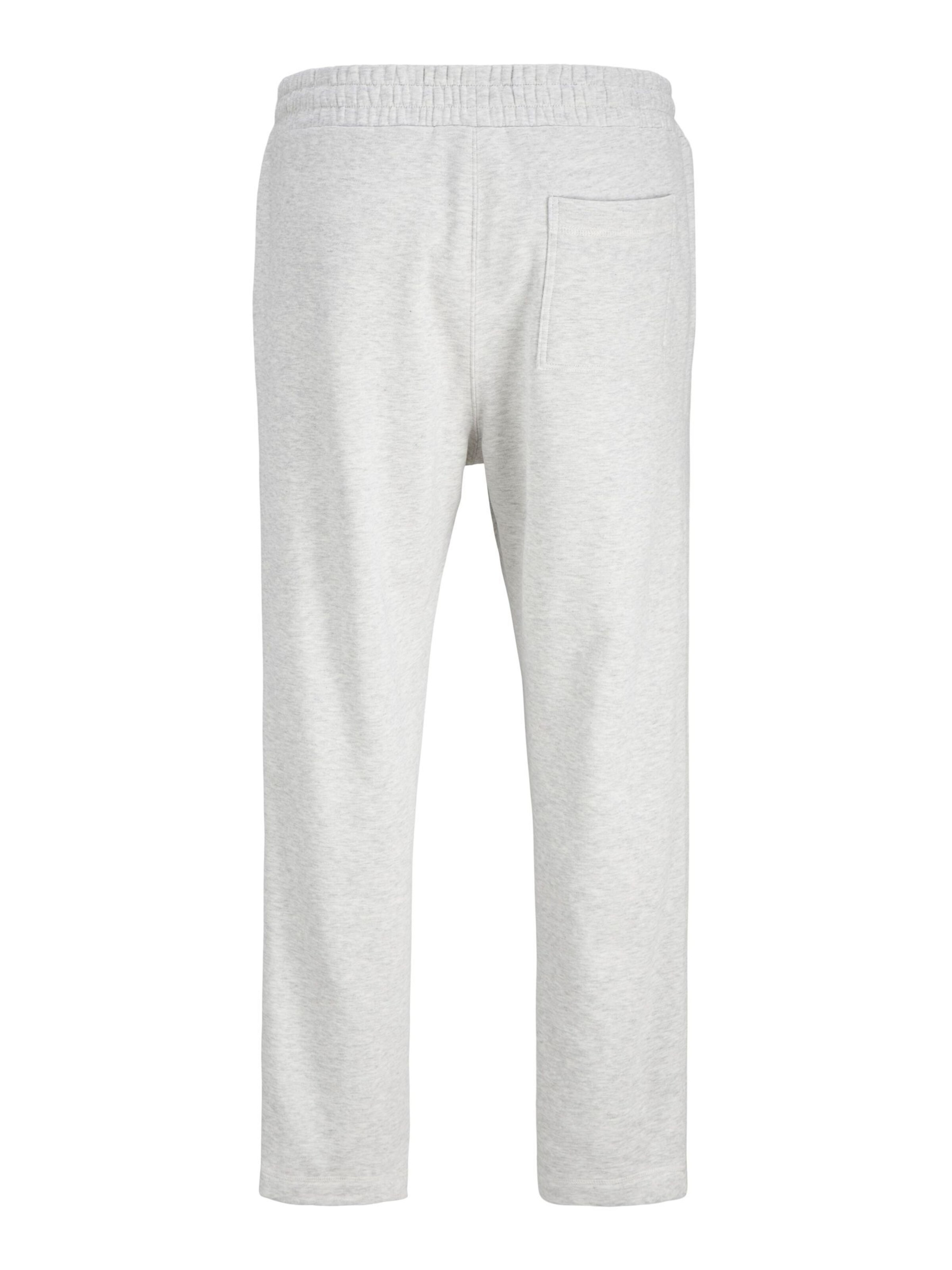 Jack & Jones Plus - regular Pantalón en gris