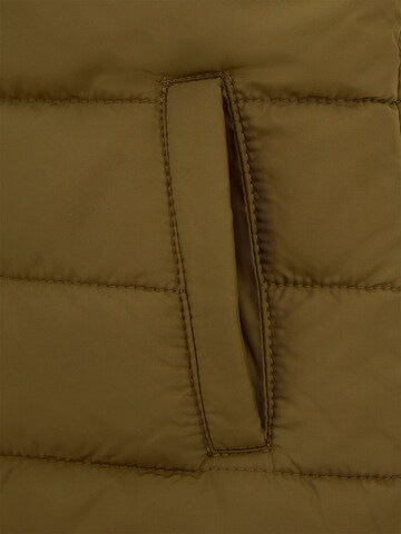 GUESS Vest in Green