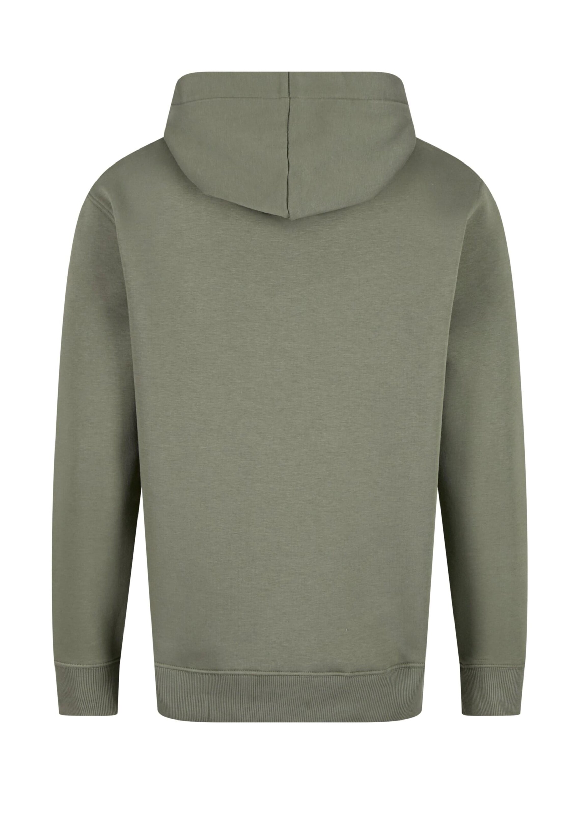 ALPHA INDUSTRIES Sweatshirt in Grün