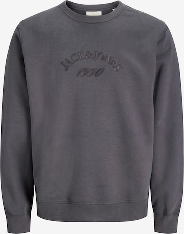 JACK & JONES Sweatshirt in Grey: front