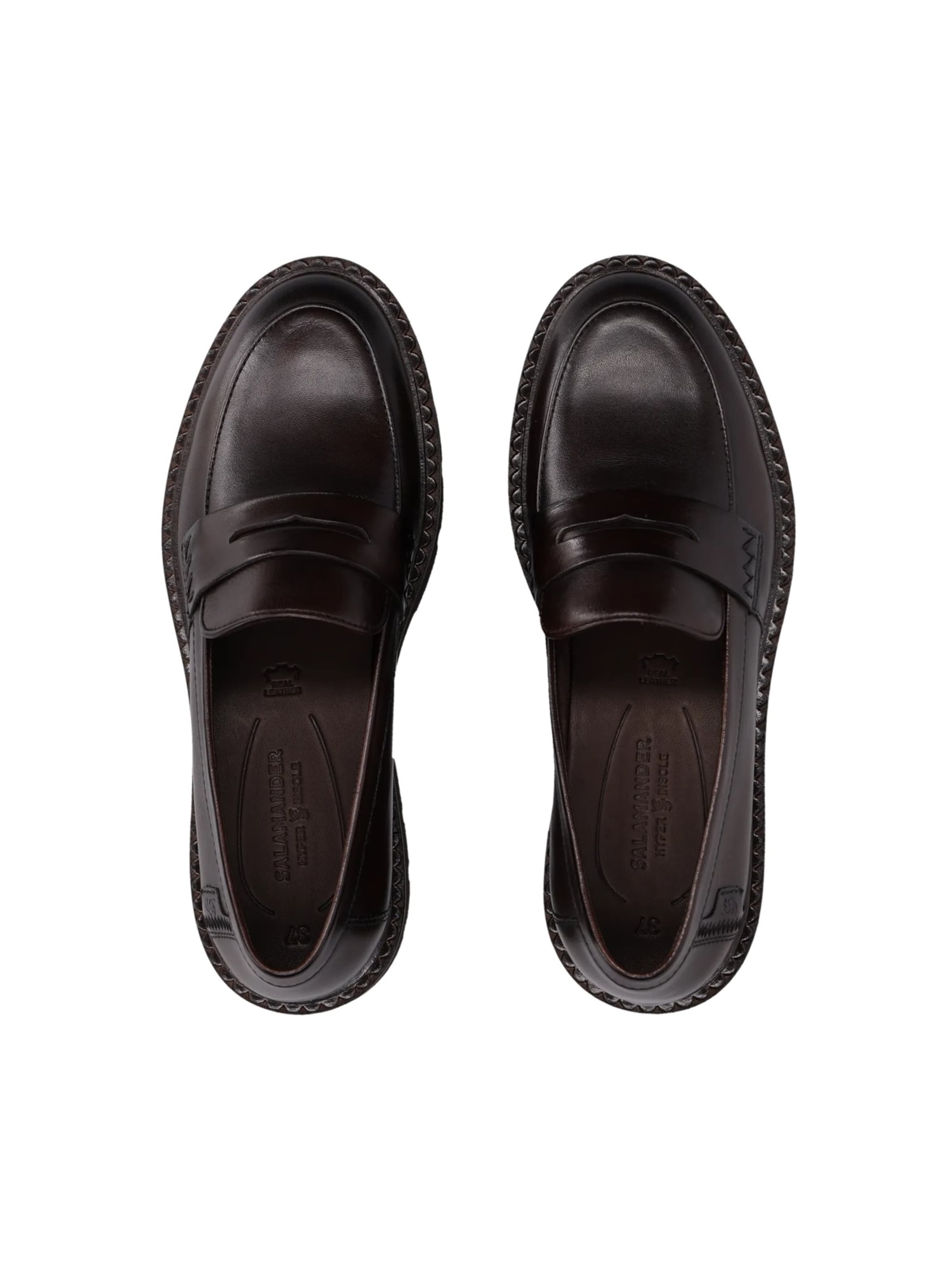 Chaussure basse SALAMANDER en marron