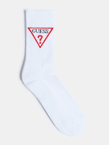 GUESS Socks in White: front