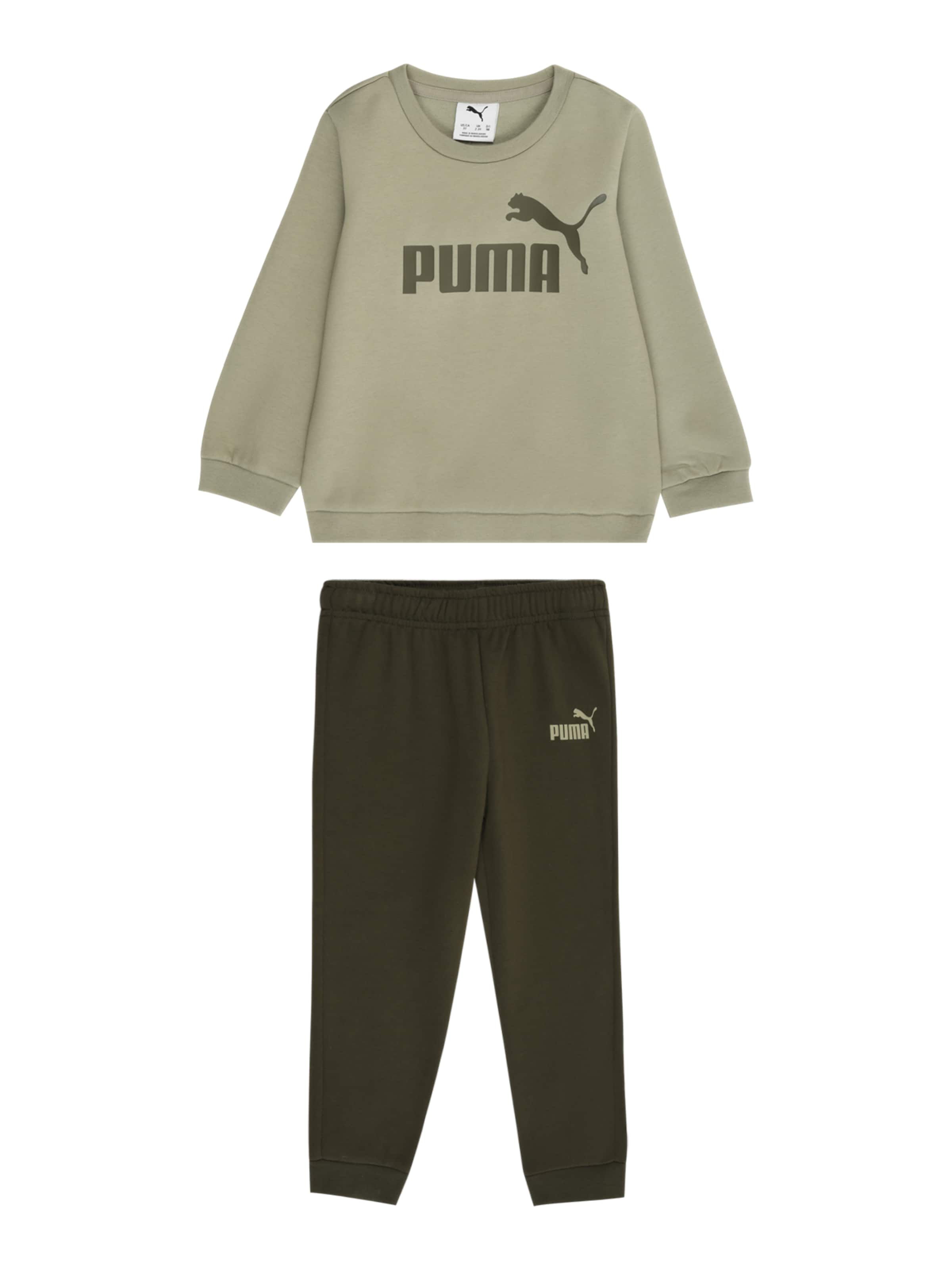 PUMA Jogginganzug 'Essentials' in Grün: Vorderseite
