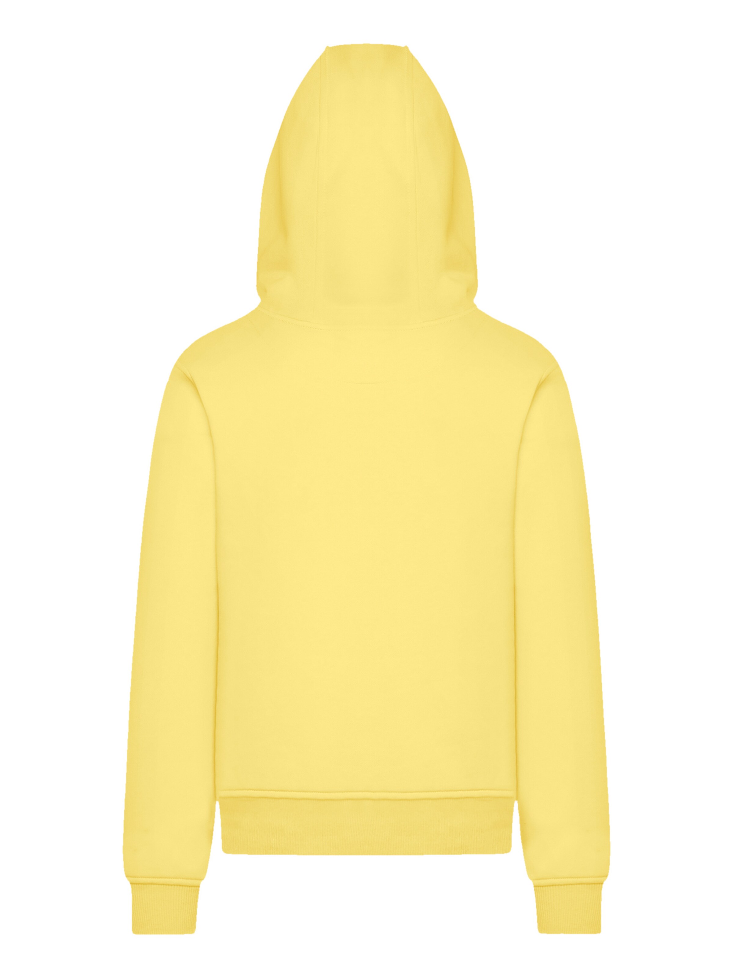 F4NT4STIC Sweater in Yellow
