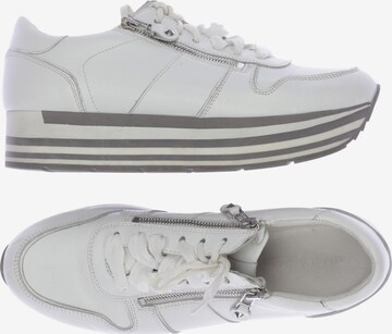 Kennel & Schmenger Sneakers & Trainers in 39,5 in White: front