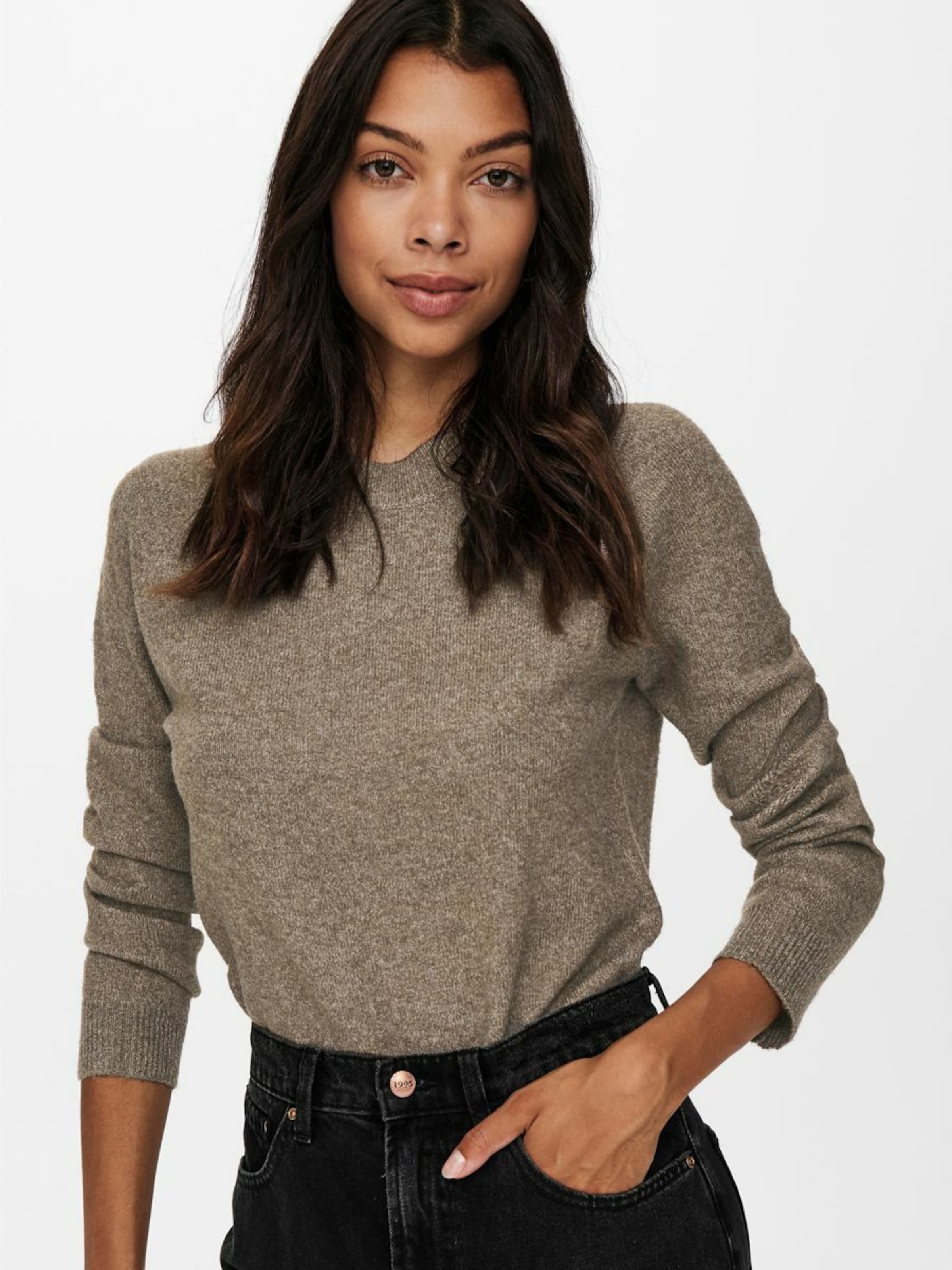 Grandes tailles Pull-over ONLY en Marron Chiné 