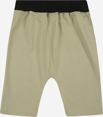 Turtledove London Regular Shorts in Grün