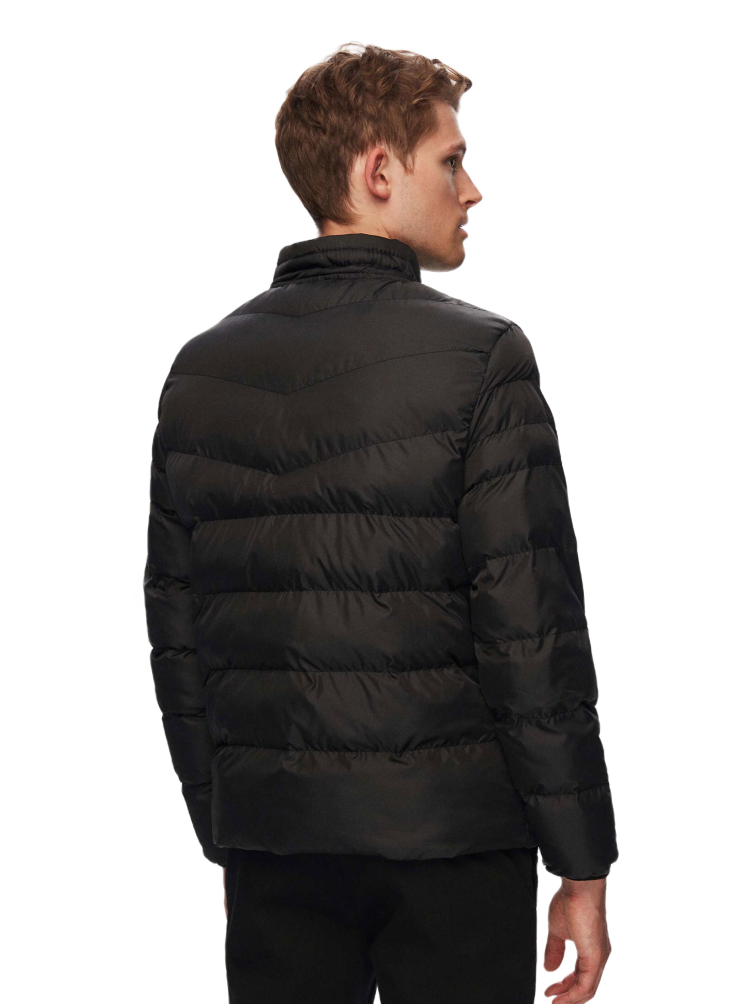 D’S Damat Between-season jacket in Black