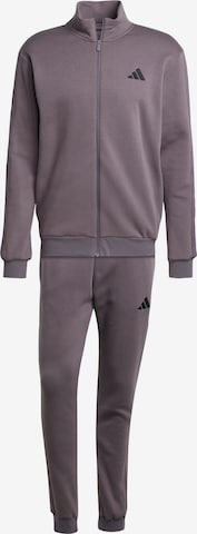 Survêtement ADIDAS SPORTSWEAR en gris : devant