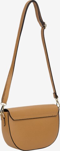 faina Crossbody Bag in Brown