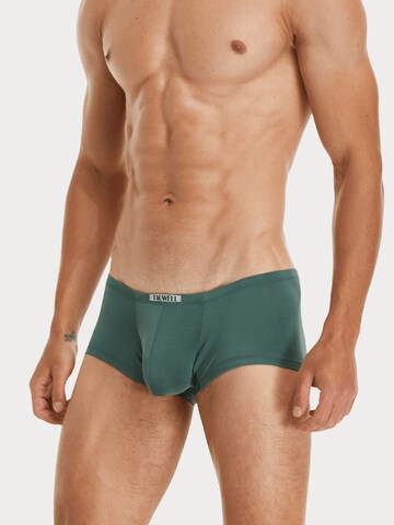 TAUWELL Boxer shorts in Green: front