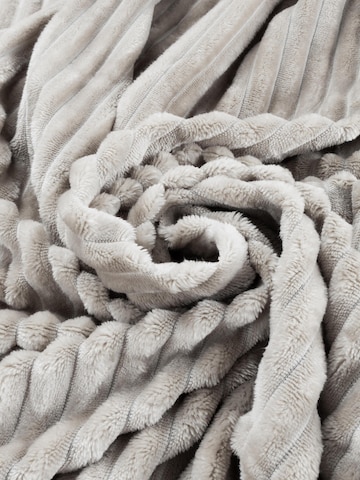 Coussins 'Mendoza' Aspero en gris