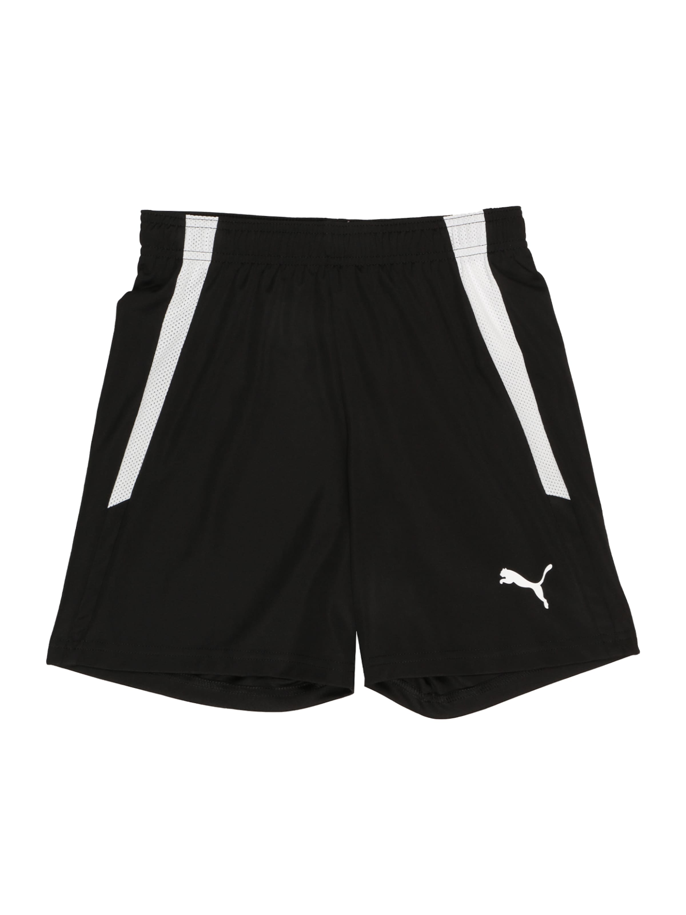 PUMA Sports trousers 'TeamLiga' in Black: front