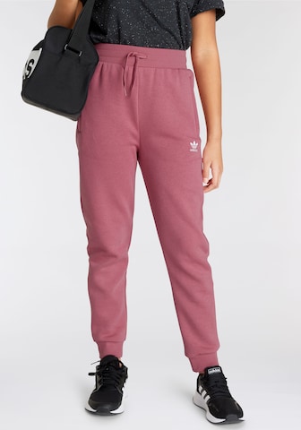 ADIDAS ORIGINALS Tapered Pants 'Adicolor' in Pink: front