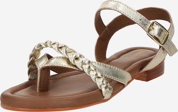 ABOUT YOU - Sandalias con hebilla 'Hailey' en oro: frente