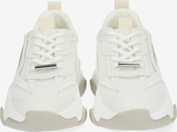 Sneaker bassa di STEVE MADDEN in bianco