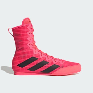 Scarpa sportiva 'Box Hog 4' di ADIDAS PERFORMANCE in rosa
