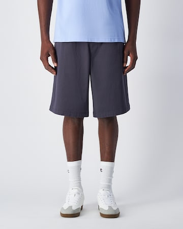 Champion Authentic Athletic Apparel Loose fit Pants in Grey: front