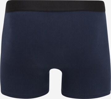 Superdry Boxershorts in Blau