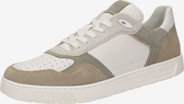 Baskets basses 'Tedroso-704' SIOUX en gris : devant