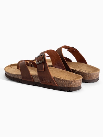 Bayton Japonke 'DIANE' | rjava barva