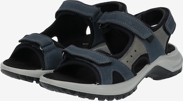 IMAC Sandals in Blue