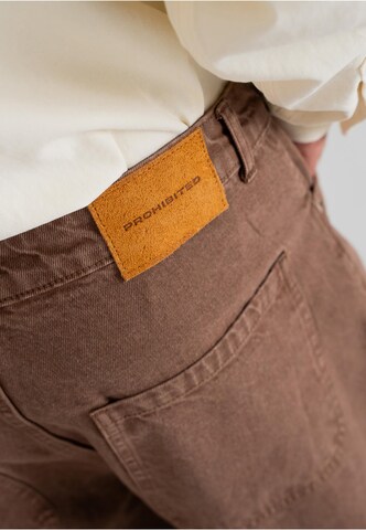 Prohibited Baggy Jeans 'Scout' in Bruin