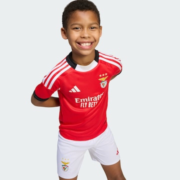 ADIDAS PERFORMANCE Trainingspak 'Benfica Lissabon 25/26' in Rood