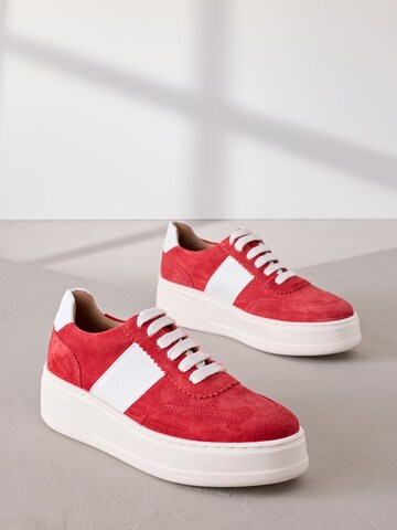 Sneaker bassa di Next in rosso