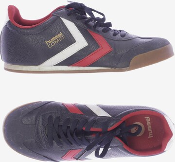 Hummel Sneakers & Trainers in 40 in Blue: front