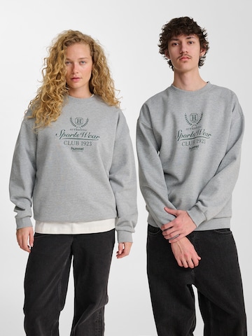 Hummel Sweatshirt in Grau: Vorderseite