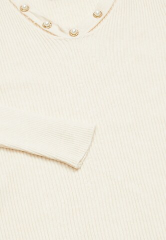 CHANI Pullover in Beige