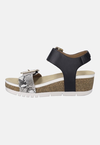 JOSEF SEIBEL Sandal 'QUINN 02' in Black