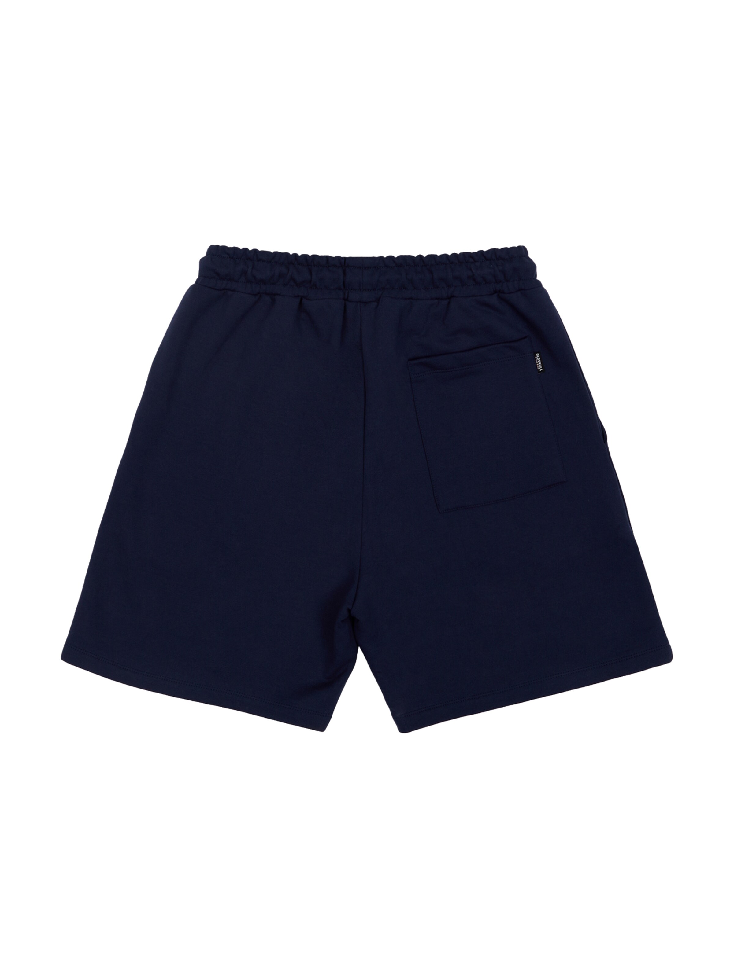 Oldskull Loosefit Shorts 'Samurai' in Blau