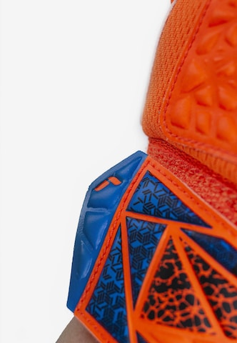 REUSCH Sporthandschoenen 'Attrakt Starter Solid Finger Support' in Oranje