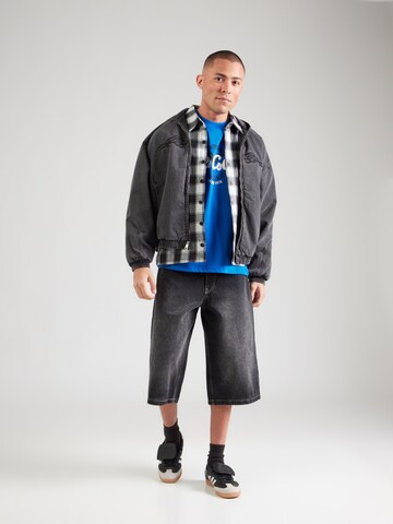 Carlo Colucci Särk, värv sinine