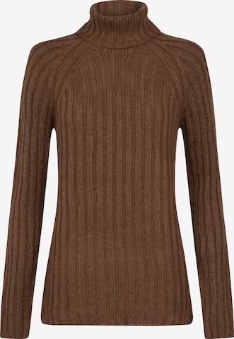 Pull-over Jimmy Sanders en marron : devant