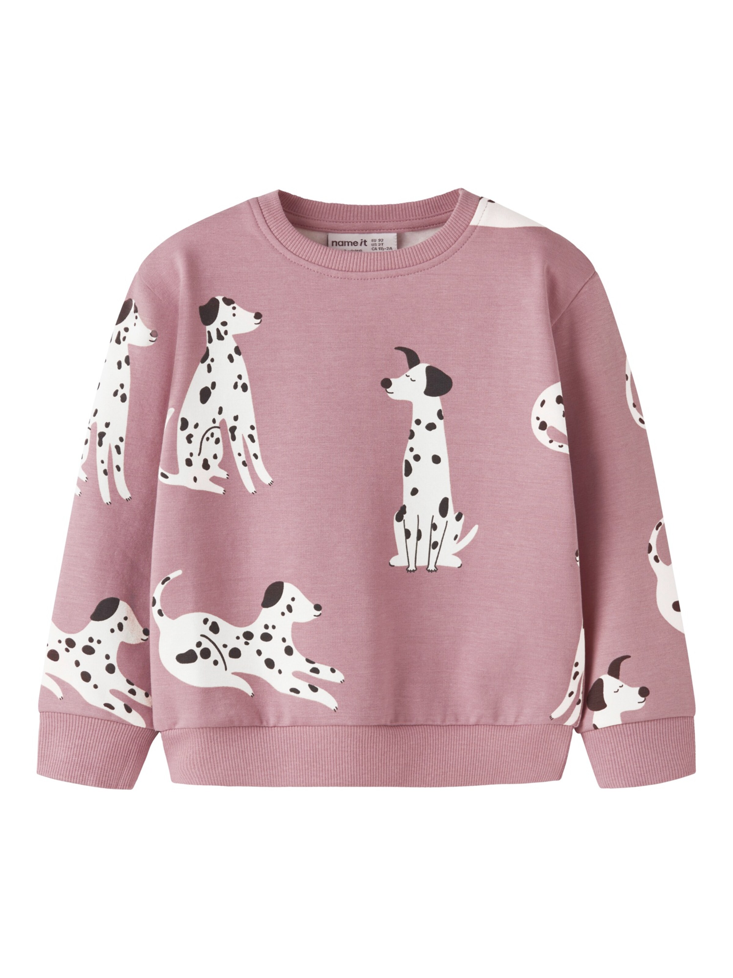 NAME IT Sweatshirt 'NMFNDOPA' in Lila: Vorderseite