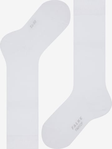 FALKE Socks 'Family' in White: front