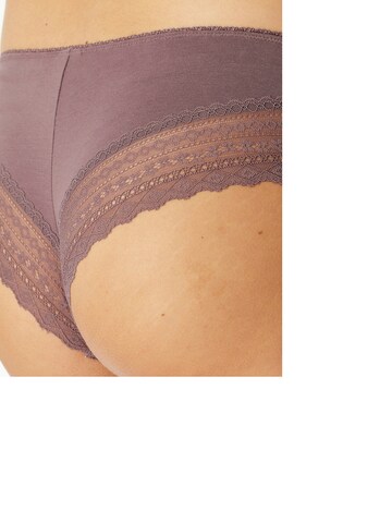 SCHIESSER Panty ' Modern Multipacks ' in Purple