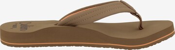 REEF Beach & Pool Shoes 'Cushion Breeze' in Brown